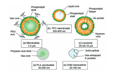 Microbubbles as Ultrasound Contrast Agents  – Thomas J. Matula, Hong Chen