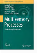 Multisensory Processes The Auditory Perspective Editors: Adrian K. C. Lee, Mark T. Wallace, Allison B. Coffin, Arthur N. Popper, and Richard R. Fay