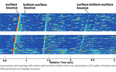 SIGNAL AND IMAGE PROCESSING TECHNIQUES AS APPLIED TO ANIMAL BIOACOUSTICS PROBLEMS – Chris O. Tiemann