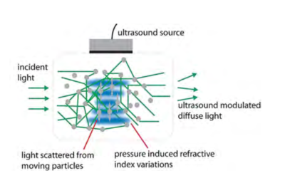 ILLUMINATING SOUND- IMAGING TISSUE OPTICAL PROPERTIES WITH ULTRASOUND – Todd W. Murray and Ronald A. Roy