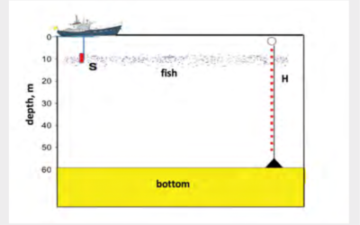 Bioacoustic Attenuation Spectroscopy- A New Approach to Monitoring Fish at Sea – Orest Diachok