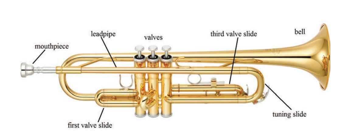 The Acoustics of Brass Musical Instruments - Acoustics Today